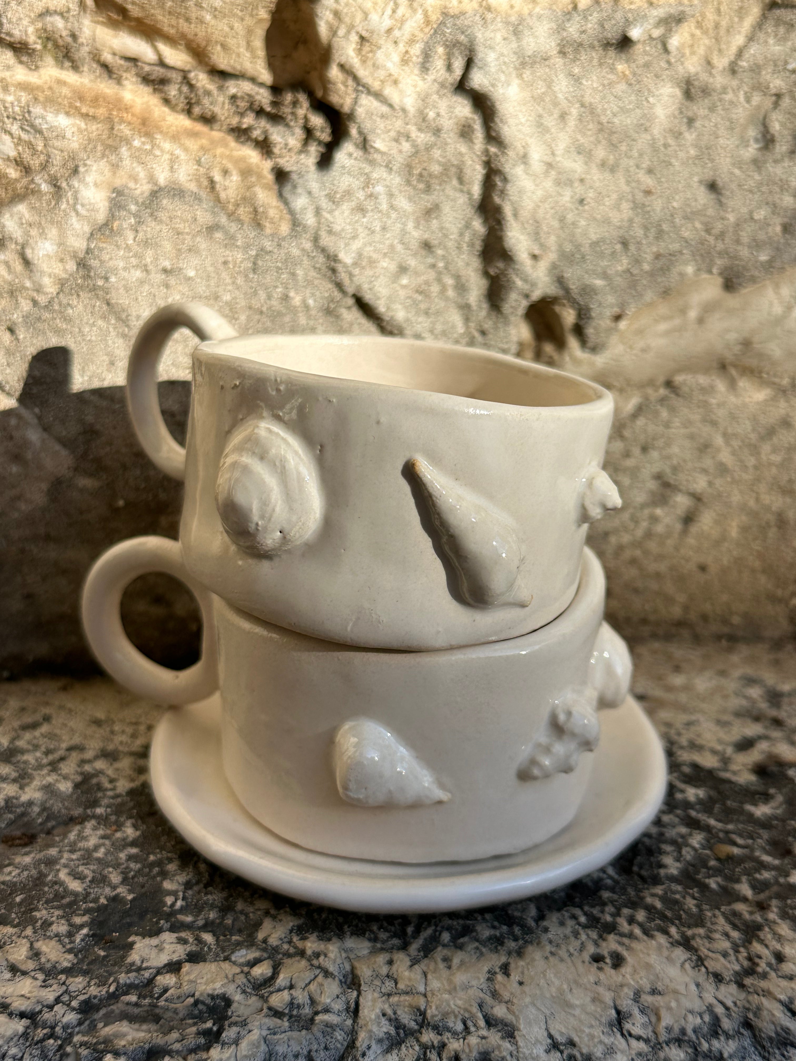 Espresoo cup sea shells