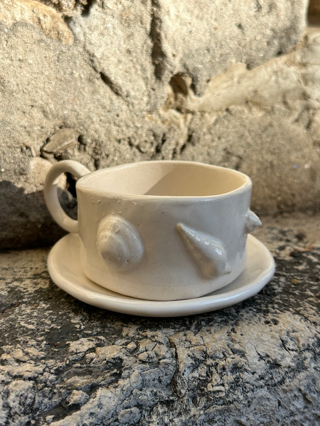 Espresoo cup sea shells