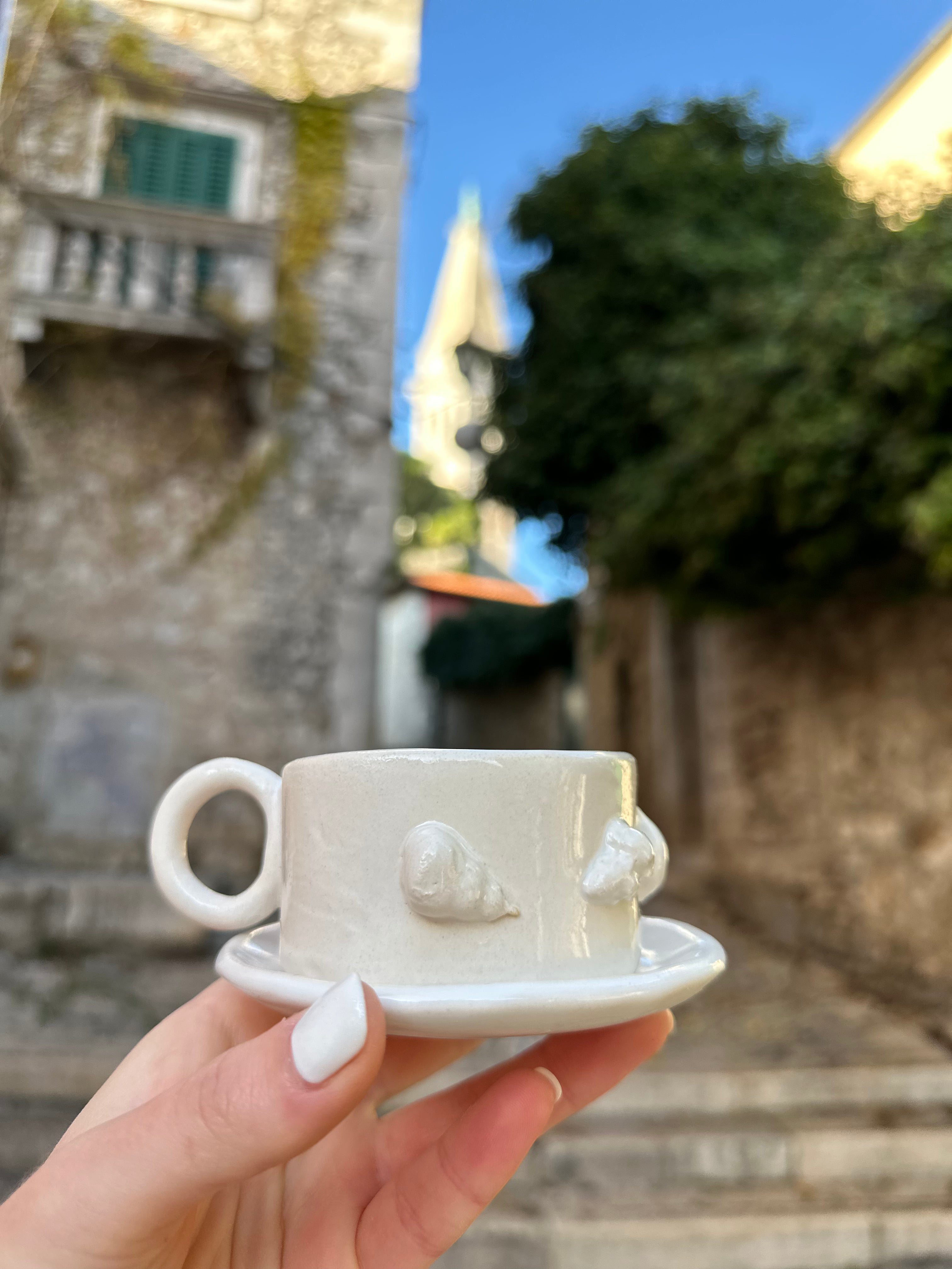 Espresoo cup sea shells